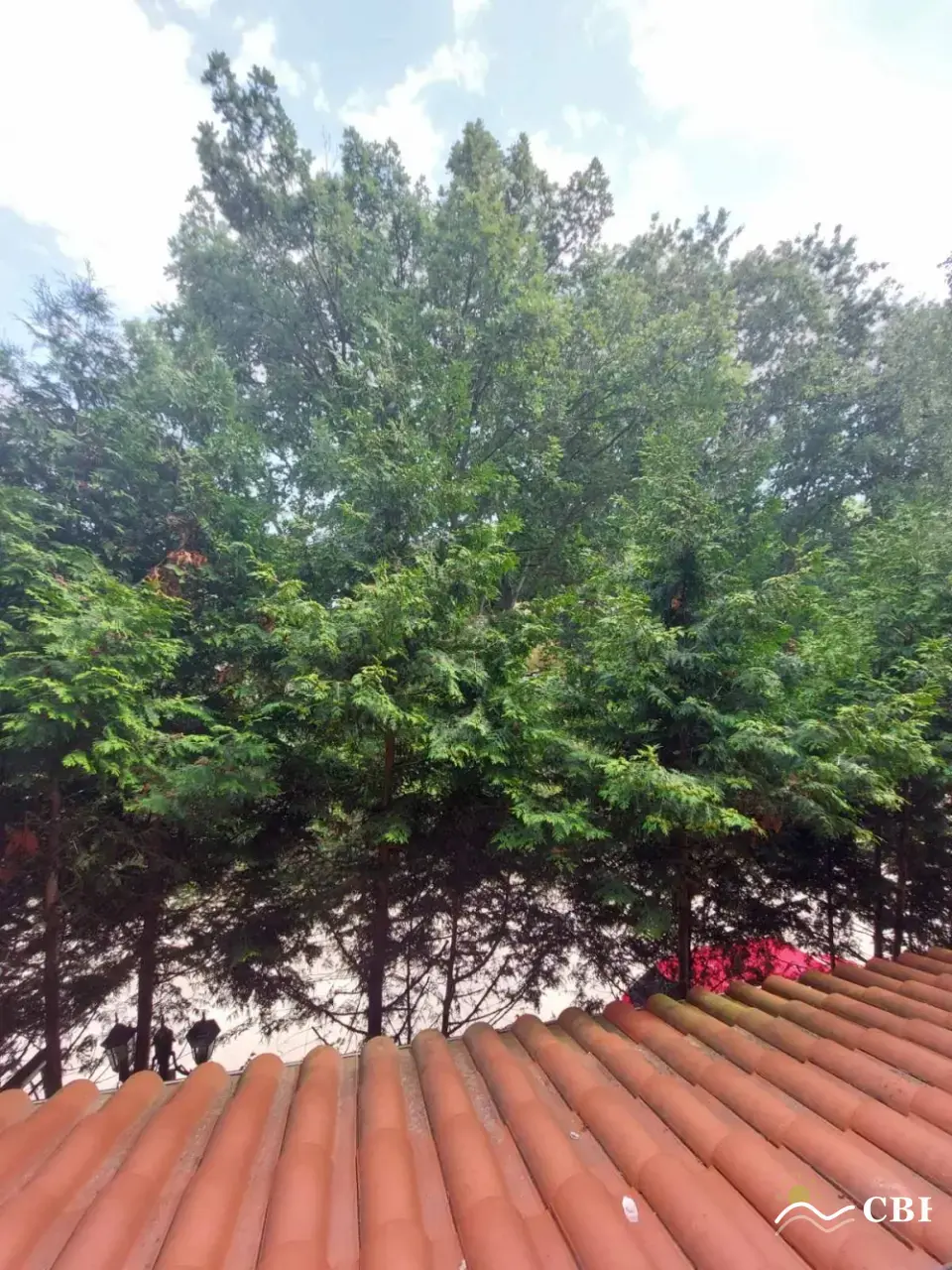 Apartment, 2-room, 60 m², in Primorsko. Photo 8 of 16. Primorsko, Black Sea, Bulgaria. Cheap Beach Holiday.