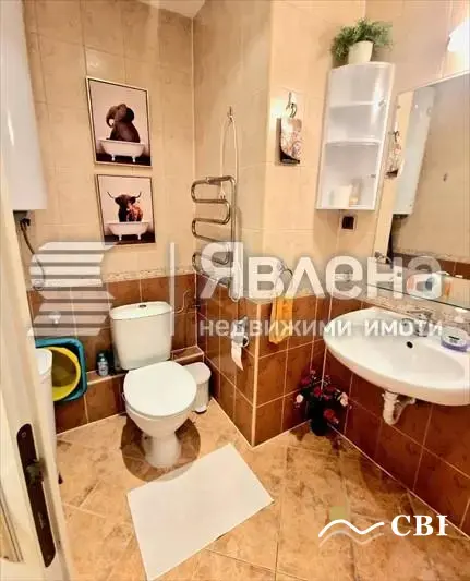 Apartment, 1-room, 80 m², in Golden Sands. Photo 7 of 9. Golden Sands, Black Sea, Bulgaria. Cheap Beach Holiday.